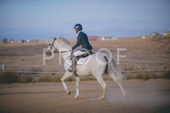 JJS_6733