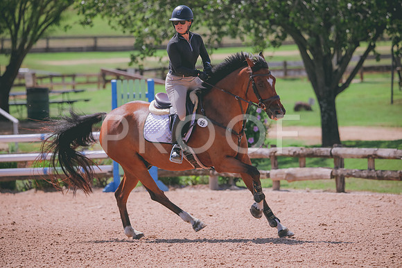RWP_5182