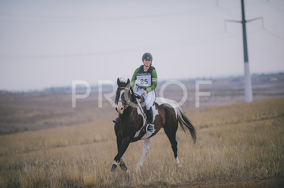 JJS_4237A