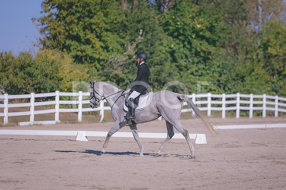HLJ_1603
