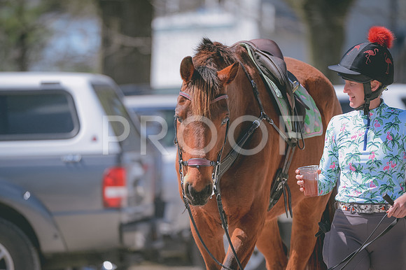 JJS_7091