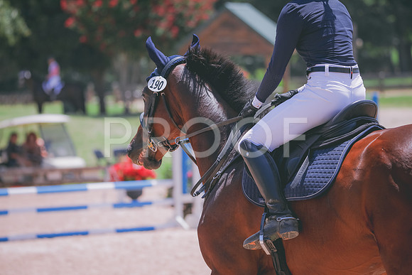 RWP_5656