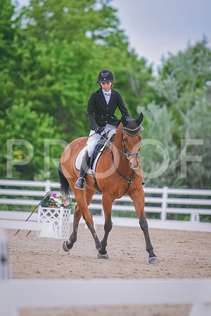 DSC_3449 copy