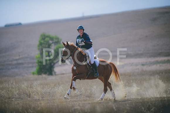 JJS_0269