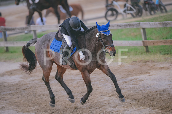JJS_3017