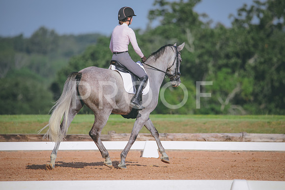 RWP_4560