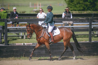 Nora Goldfarb-Durango's Irish Rose