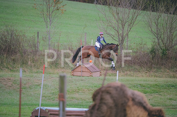 JJS_0082