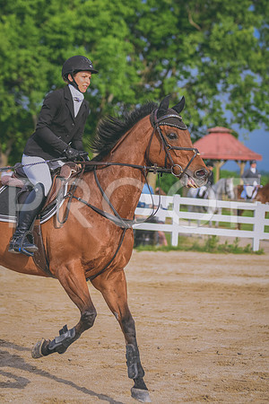 DSC_6668 copy