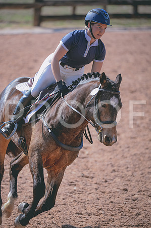 JJS_7928
