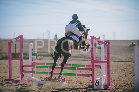 JJS_0209