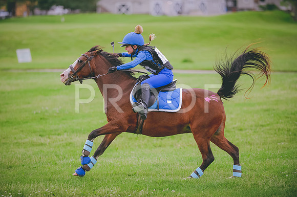 JJS_1495