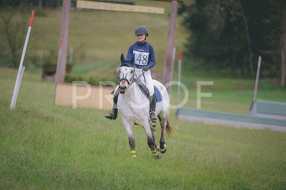JJS_6308