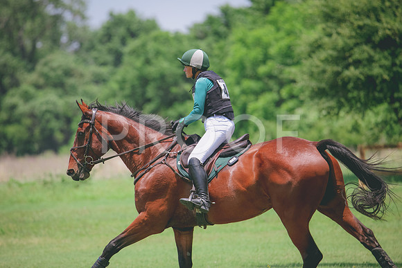 RWP_3234