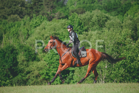 RWP_2856