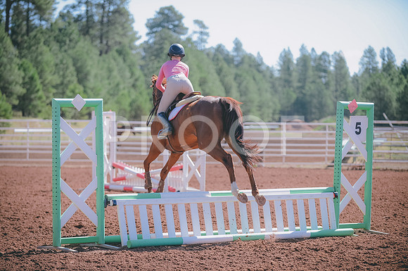 JJS_5008