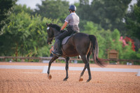 RWP_4167