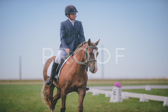 JJS_1238