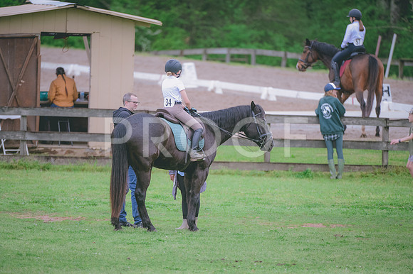 JJS_4358