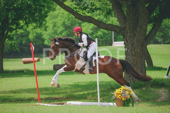 RWP_2085