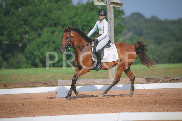 RWP_4456