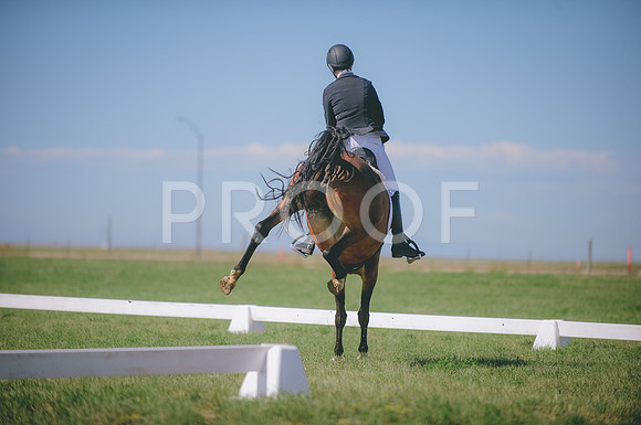 JJS_2318
