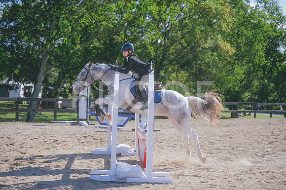 000_5333