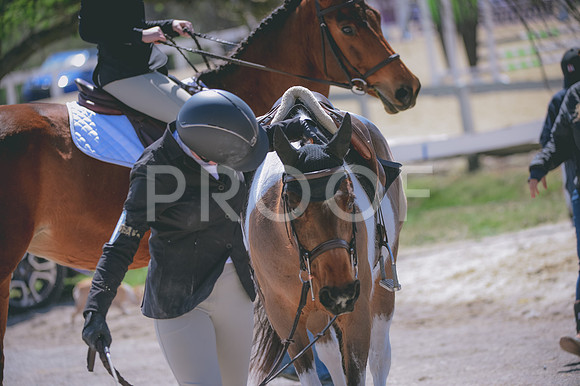 JJS_6195