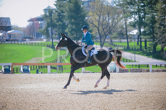JJS_2852