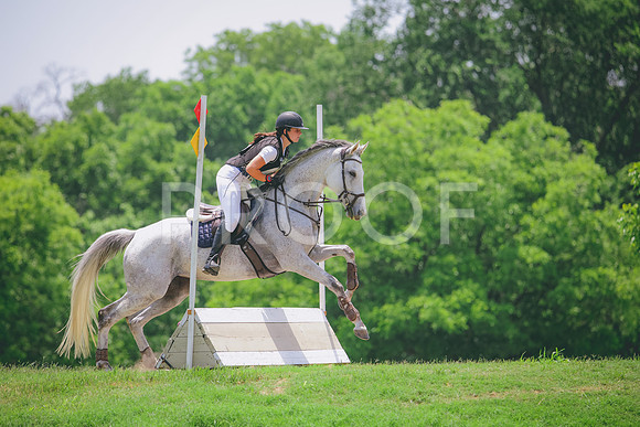 RWP_3599