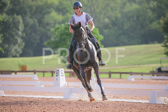 RWP_4252
