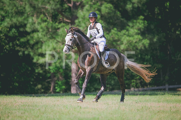 RWP_1310