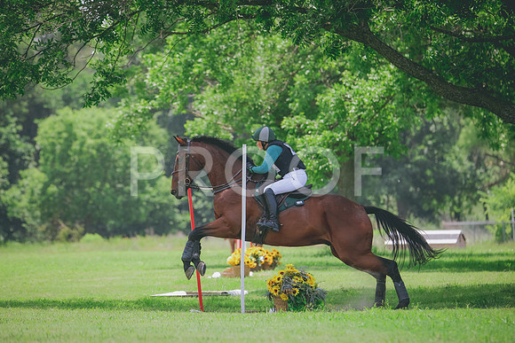 RWP_3256