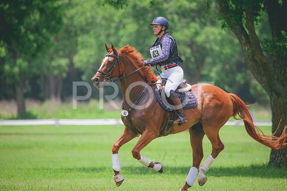 RWP_2946