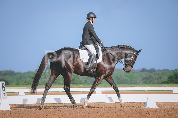 RWP_3786