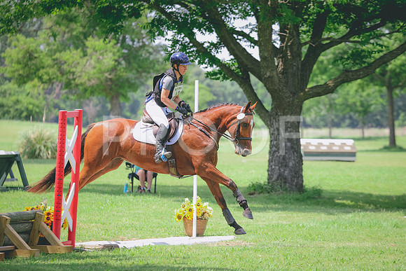 RWP_4235