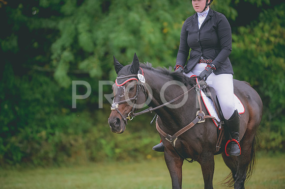 JJS_0329