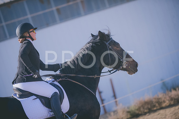 JJS_0931