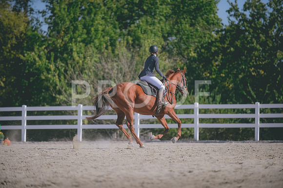 JJS_1399