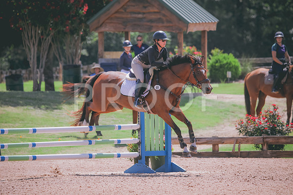 RWP_5181