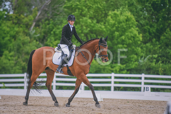 DSC_3443 copy