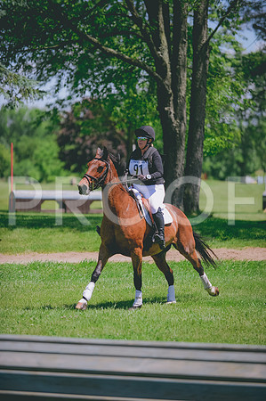 JJS_6536