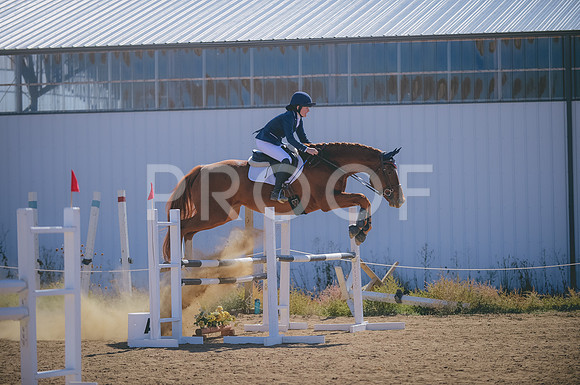 000_8448