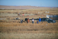 000_2766