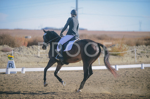 000_5119