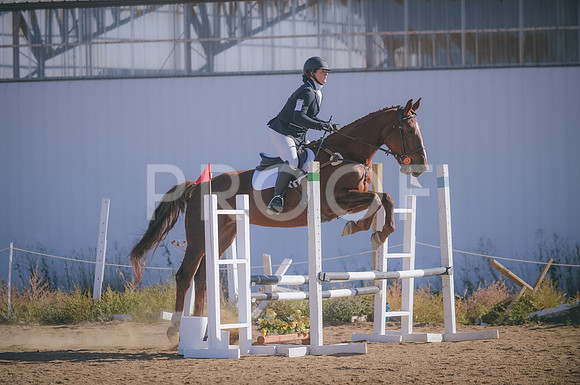 000_0530