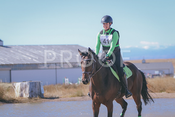 281A1175
