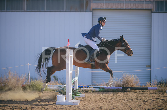 000_1269