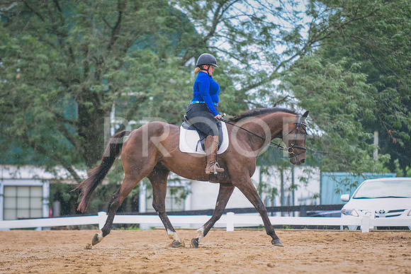 DSC_7871