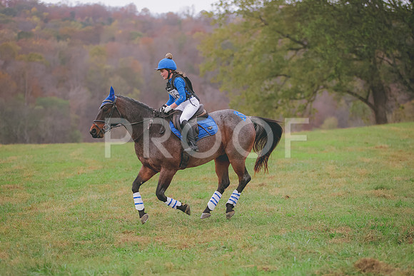 3T5A6260